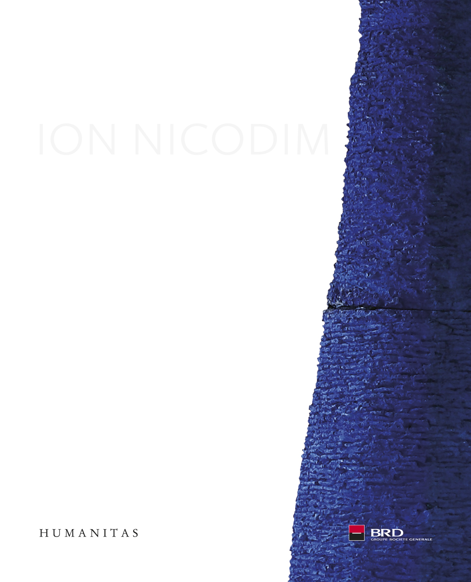 Ion Nicodim book jacket